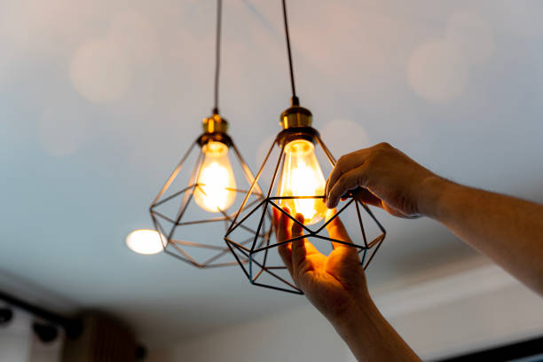 Best Home Electrical Repair  in Mayo, FL